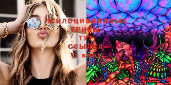 стафф Аркадак