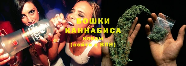экстази Арсеньев