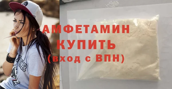 стафф Аркадак