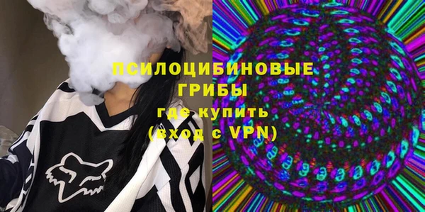 стафф Аркадак