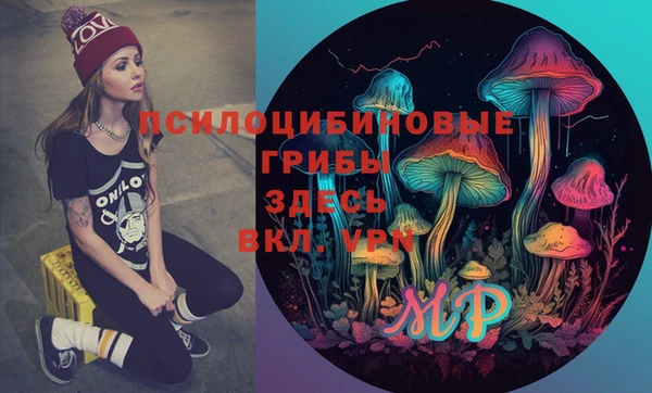 дмт Армянск