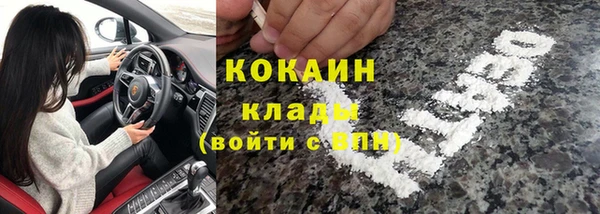 стафф Аркадак