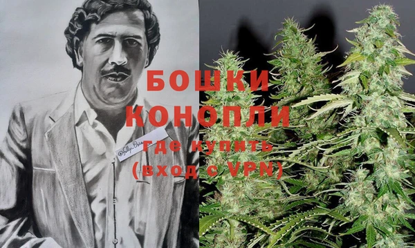 экстази Арсеньев