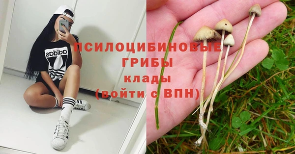 дмт Армянск