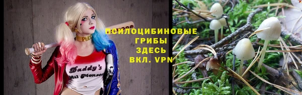 экстази Арсеньев