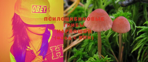 дмт Армянск